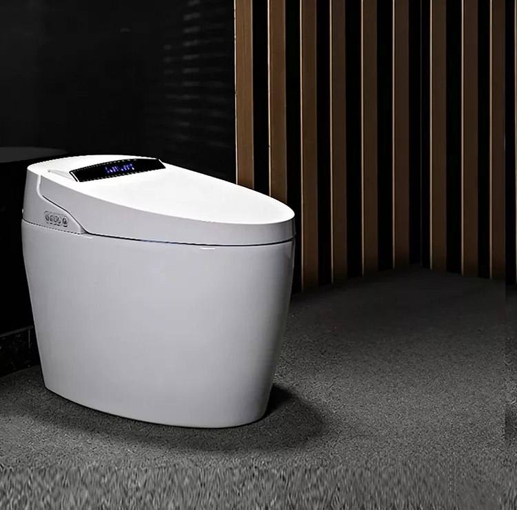 Foot-Operated Flip-Top Smart Toilet Foot-Operated Flip-Top Smart Toilet