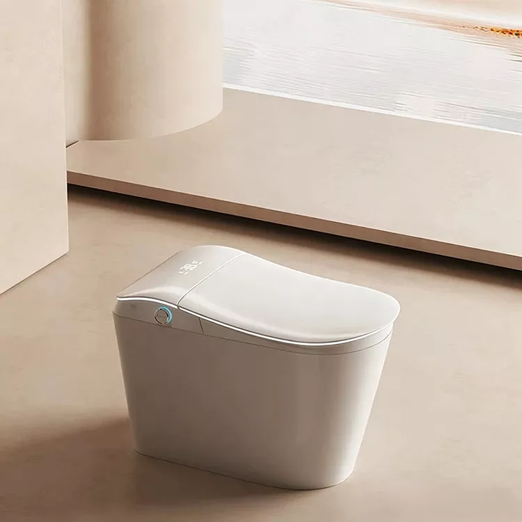 Smart Toilet With Built-In Water Filter And Foot-Activated Flushing Smart Toilet With Built-In Water Filter And Foot-Activated Flushing